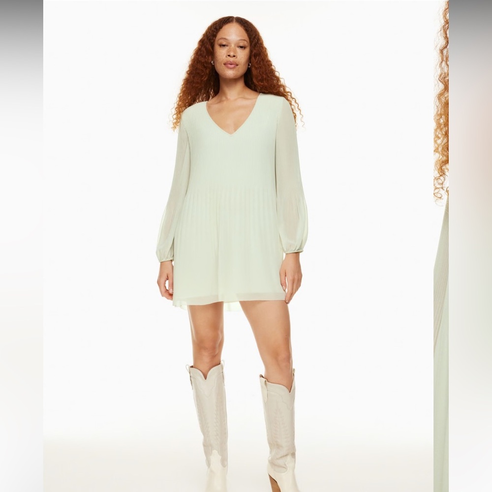 NWT Aritzia Daydreamer V-neck Dress